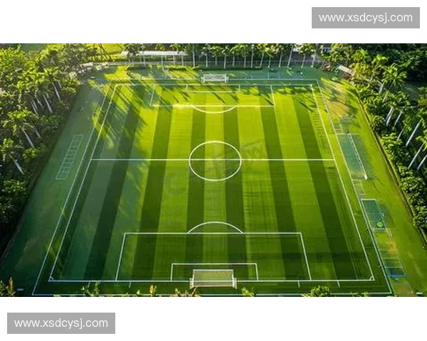 聚焦西亚多国顶级足球联赛格局演变与区域竞争态势全景深度解析